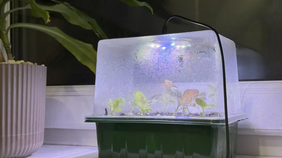 Фото: REGIONS/Илья Попов