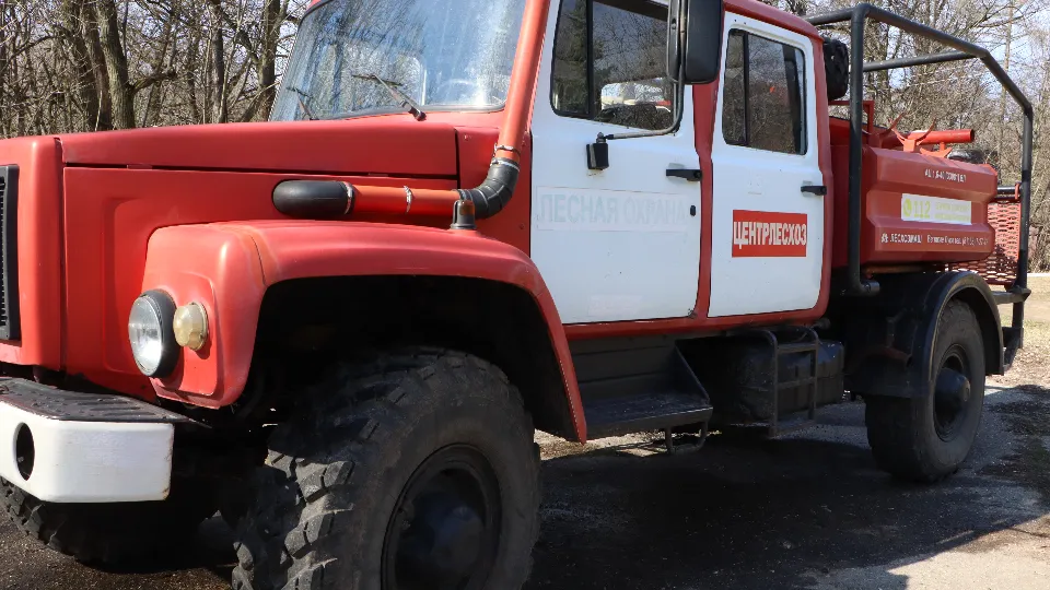 Фото: МедиаБанк Подмосковья/Ирина Матвеева