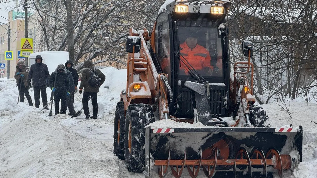 Виктория Фортуна