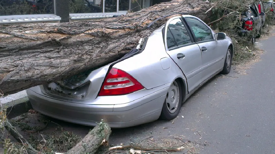 Фото: pxhere.com