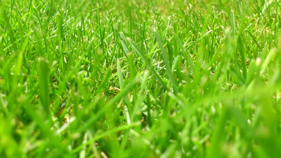 Фото: pxhere.com