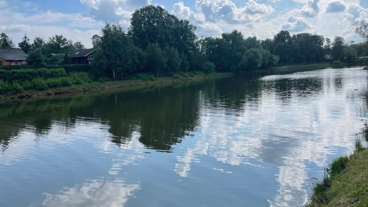 Работы по очистке водоема в деревне Беляево стартовали в Чехове