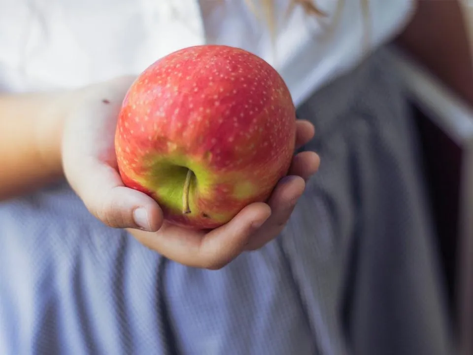 Мед на пятки, яблоко с желанием и орехи под подушку: проверенные приметы на скорое замужество — что сделать в августе