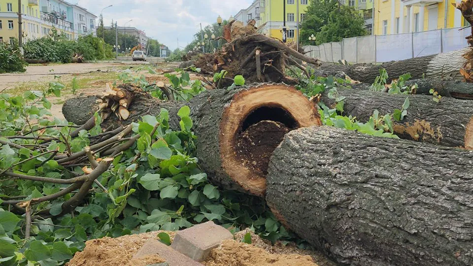 Фото: Андрей Семибратов