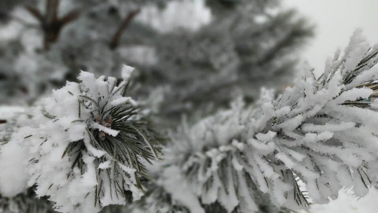 REGIONS/Роман Малышенко