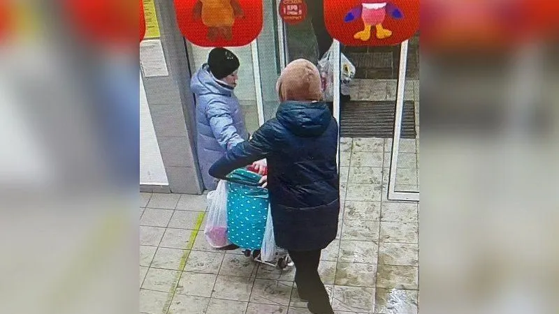 Женщина украла новогоднюю декорацию из магазина под Одинцовом