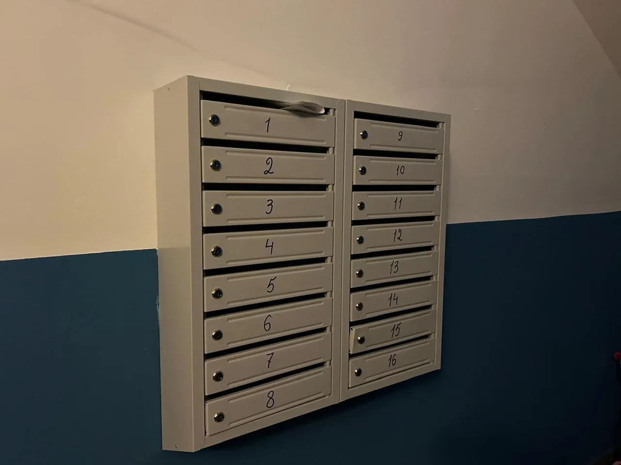 Фото: пресс-служба Александра Баранова&nbsp; &nbsp;