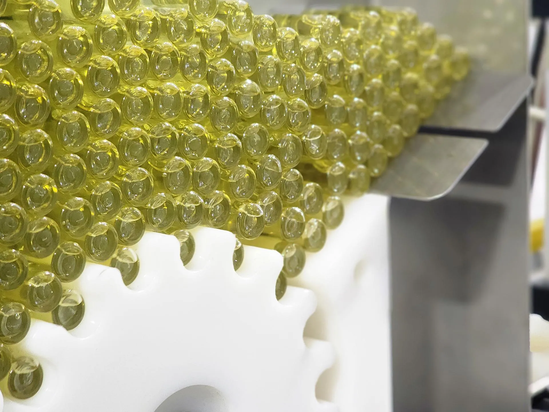 REGIONS/Полина Пахомова