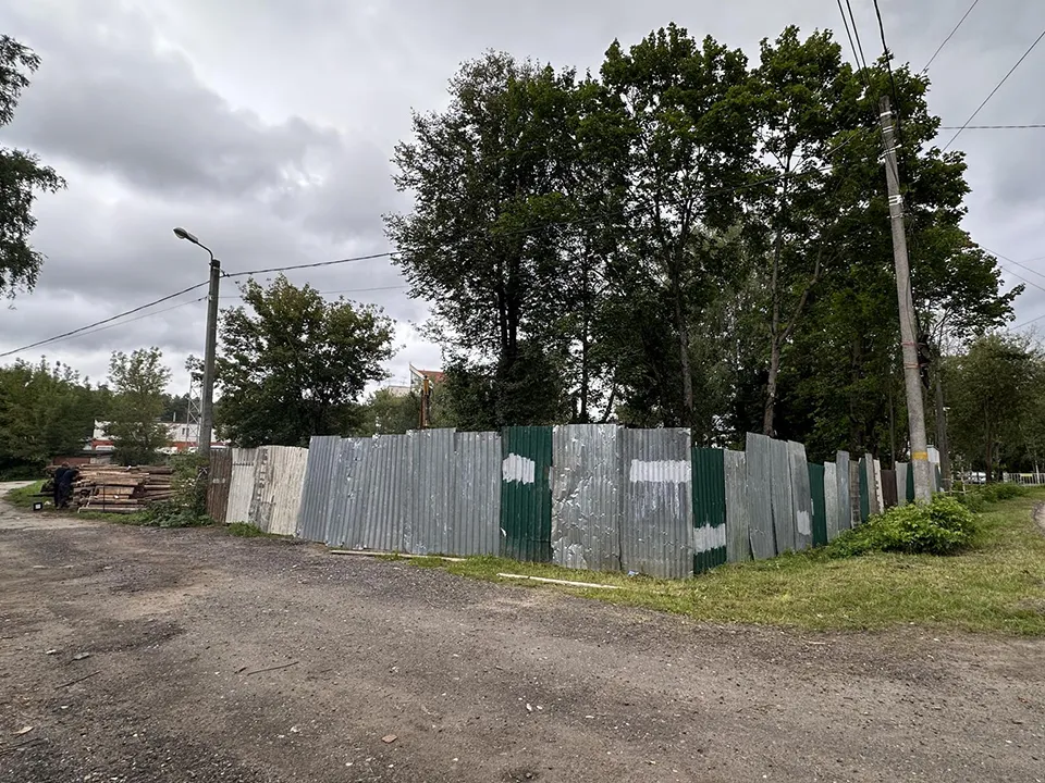 Фото: МедиаБанк Подмосковья/Екатерина Мелкозерова