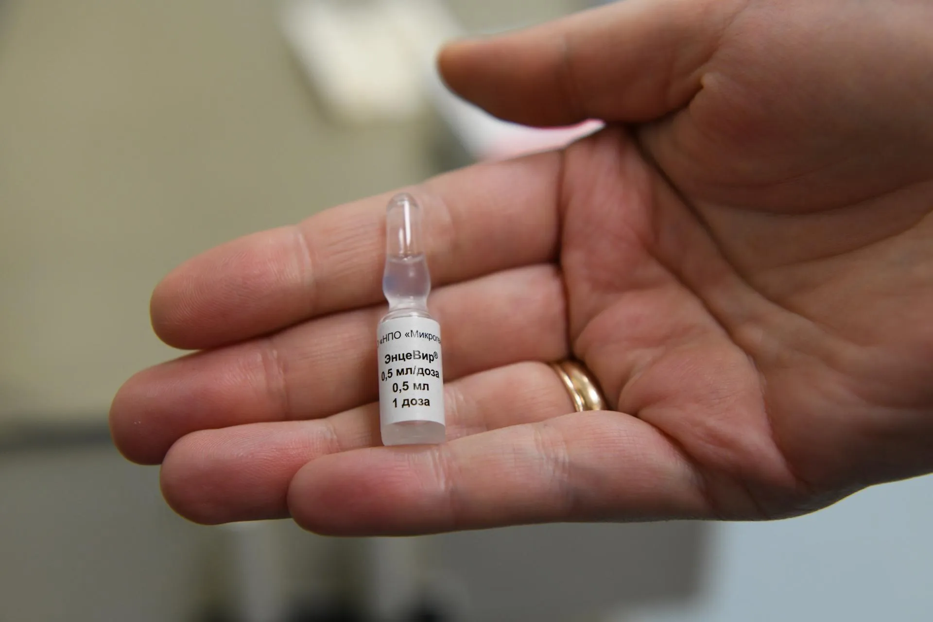 МедиаБанк Подмосковья/Антон Шаманин