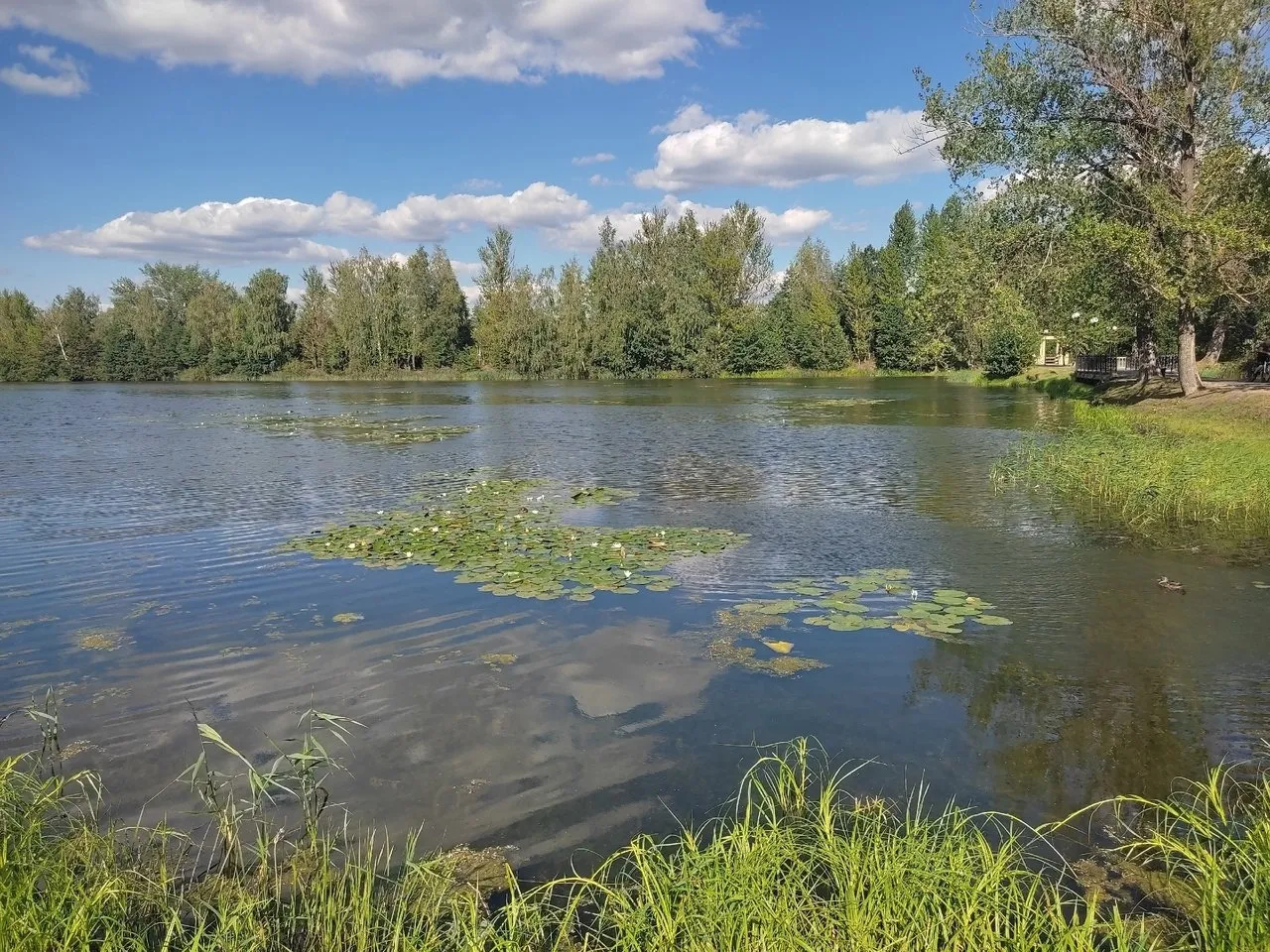 Фото:&nbsp;REGIONS/Виктория Гордеева