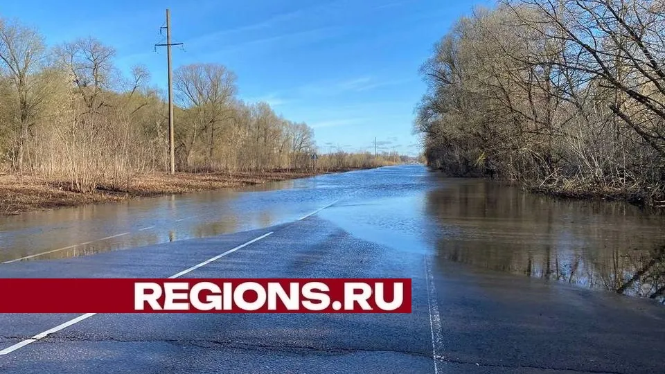 Фото: пресс-служба администрации городского округа Луховицы