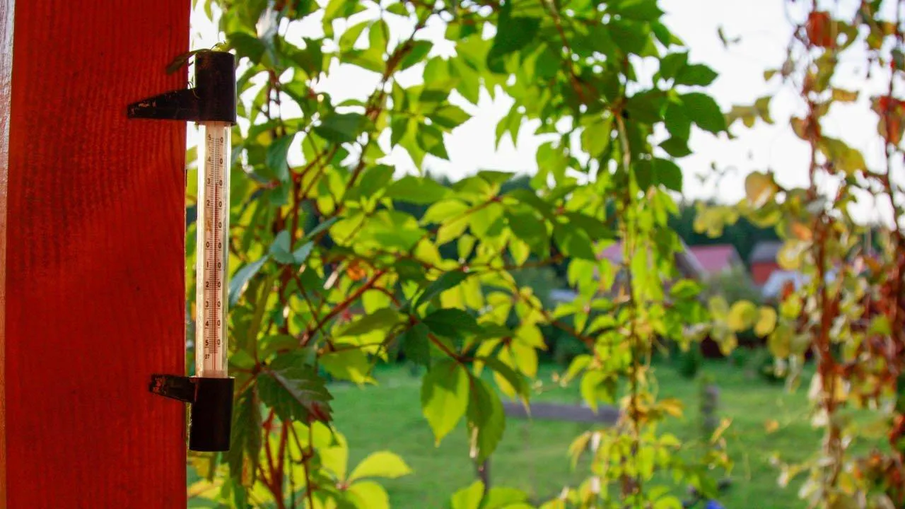 REGIONS/Владимир Ерастов