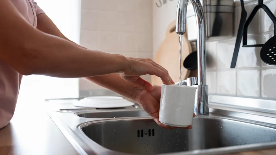 Фото: freepik.com