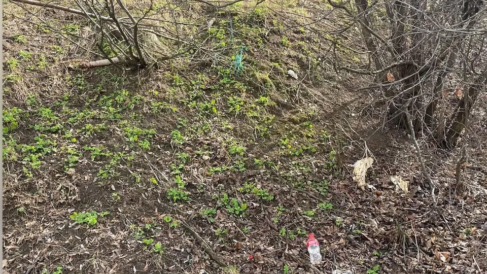 Александр Щербаков