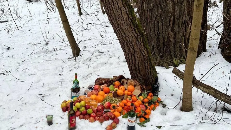 Тела убитых животных по кругу, виски и фрукты — жуткий алтарь нашли в Матвеевском лесу Москвы