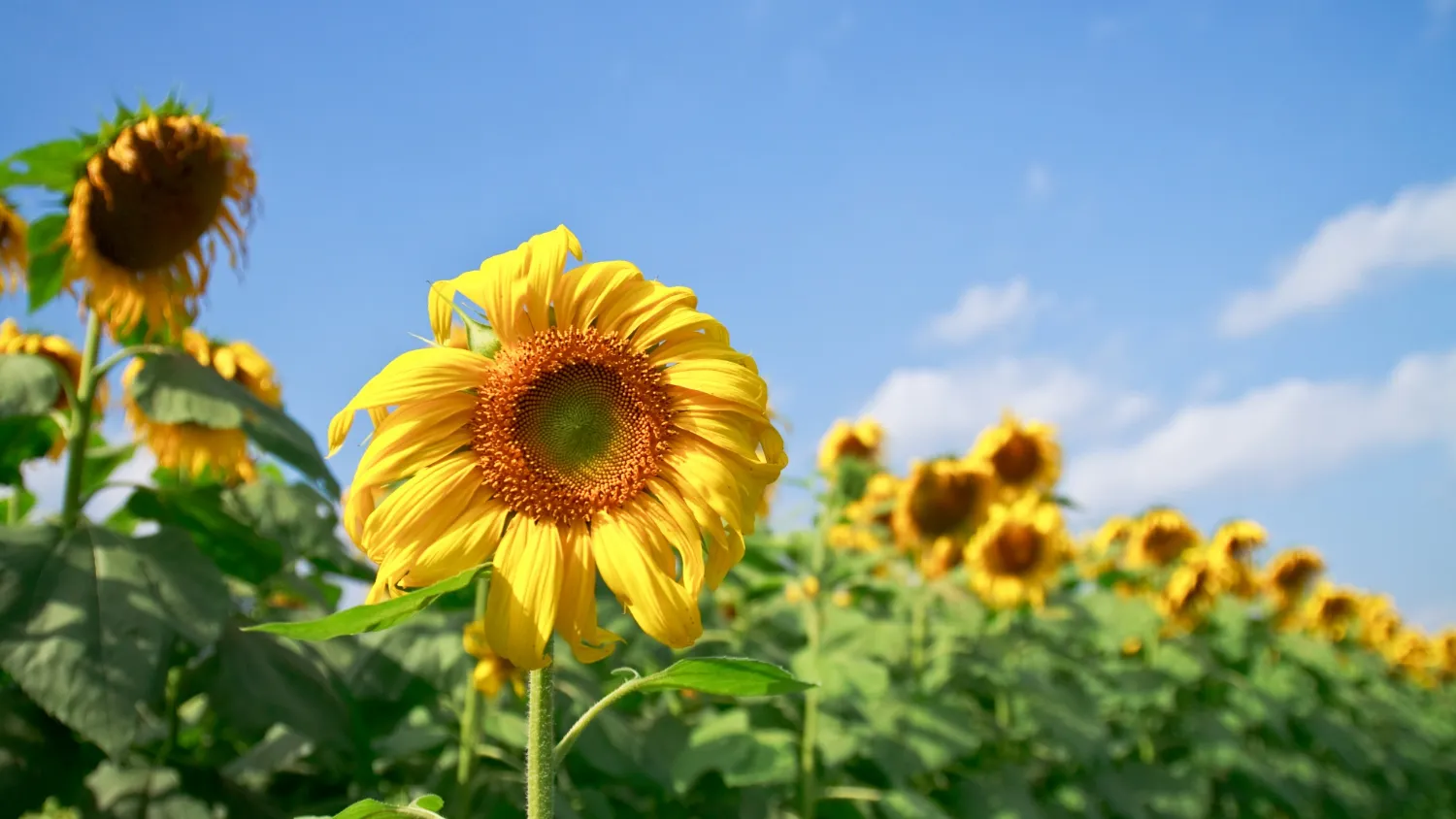 Фото: freepik.com