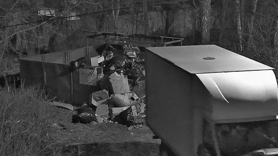 Фото: кадр с камеры видеонаблюдения