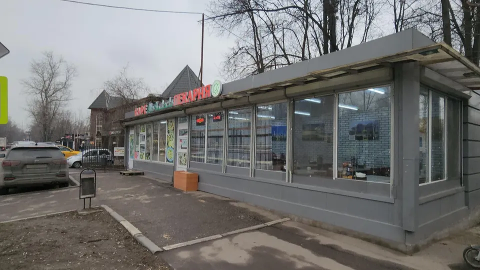 Фото: Наталья Лымарь