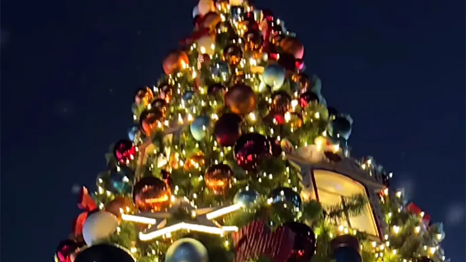 Фото: МБУ «Дирекция парков Одинцовского городского округа»