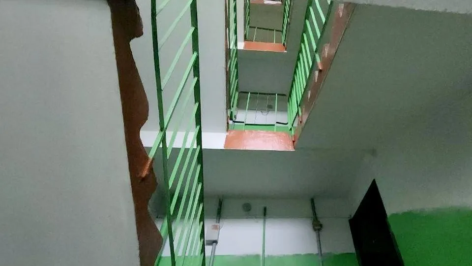 Фото: МедиаБанк Подмосковья/Юлия Скавронова