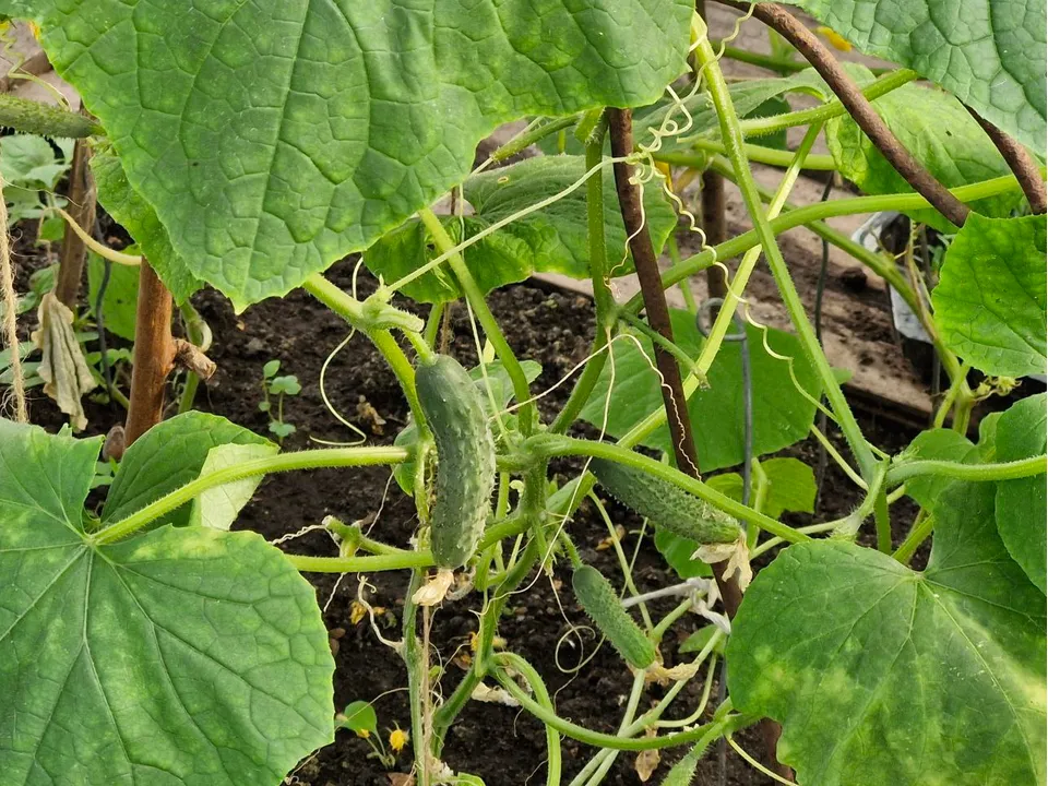 Фото: REGIONS/Наталия Надточая