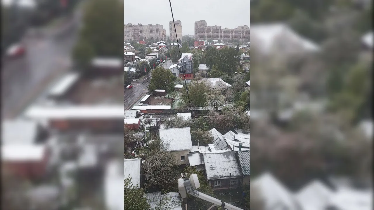 Фото: t.me/domodedovolive