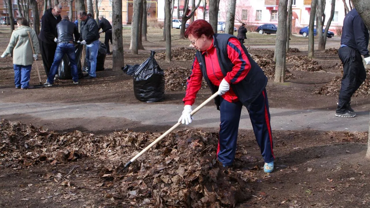 медиасток.рф
