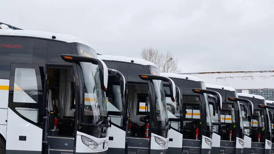 Фото: пресс-служба администрации г.о. Ленинский