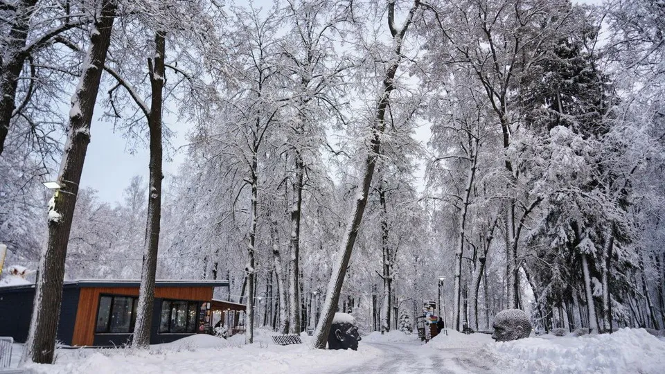 Фото: Министерство благоустройства Московской области