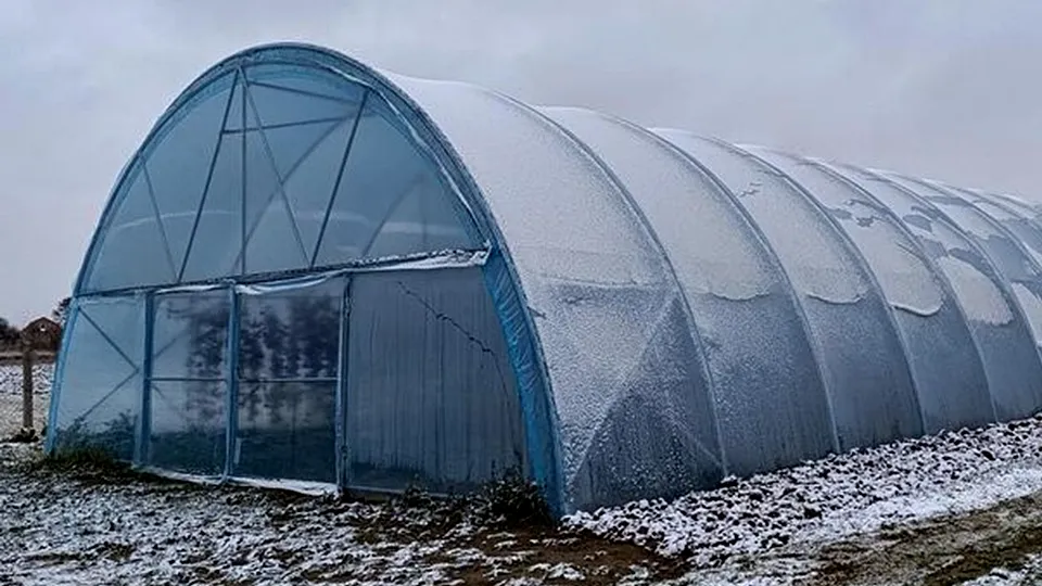 Фото: freepik.com