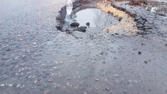 Региональное отделение ОНФ в МО