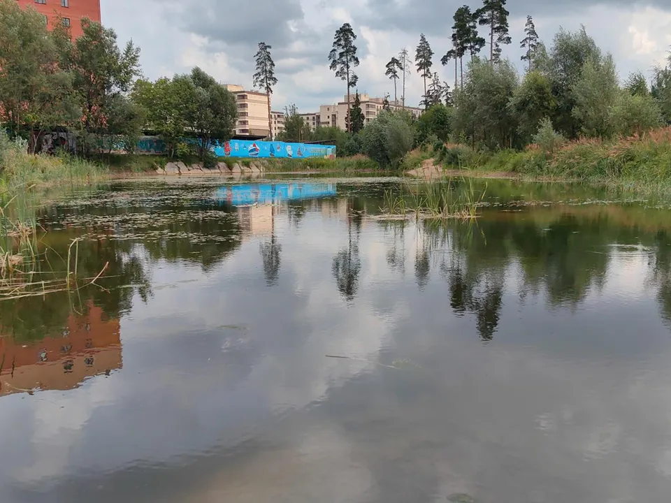 Фото: REGIONS/Елена Катасонова