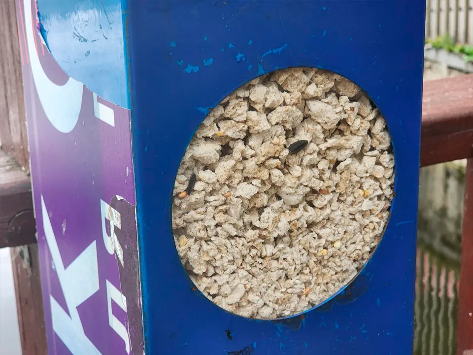 Фото: Роман Савельев