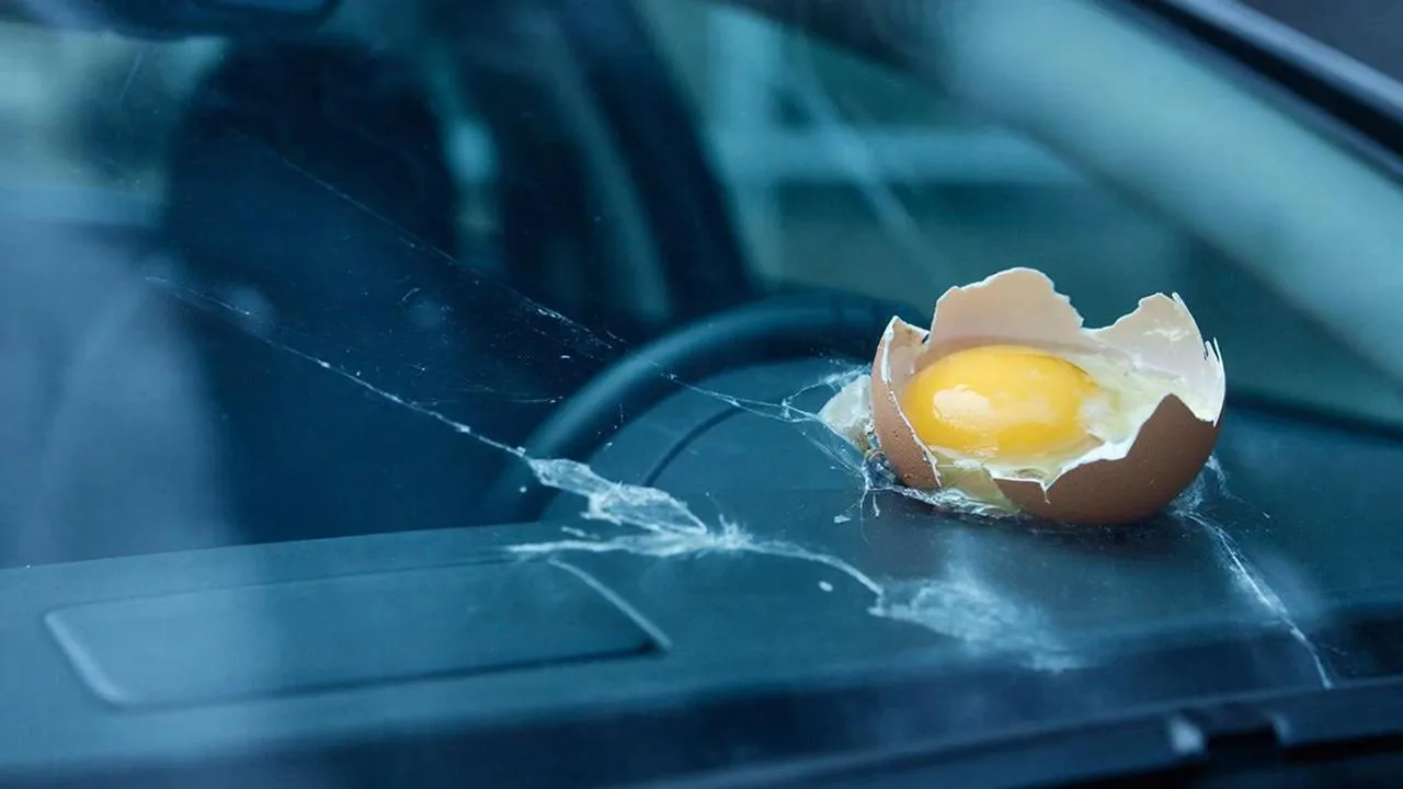 REGIONS/Сгенерировано нейросетью