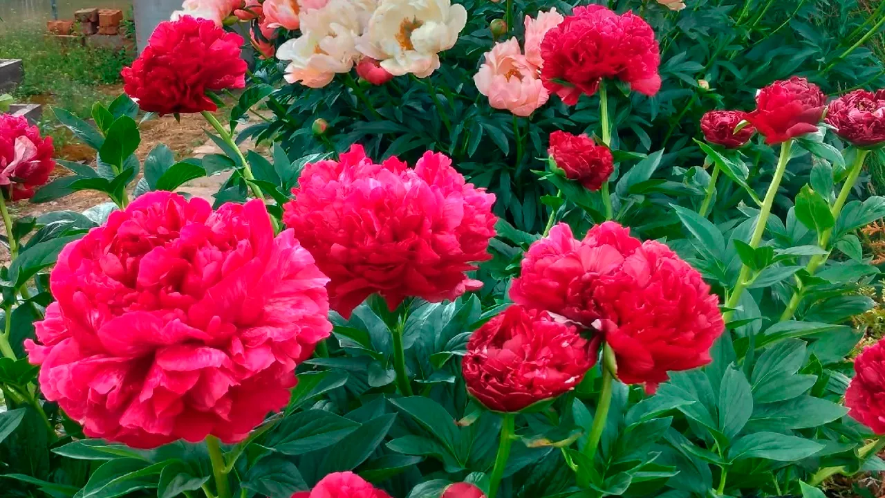 vk.com/МЕСТО СИЛЫ | Бизнес-сообщество Зарайск