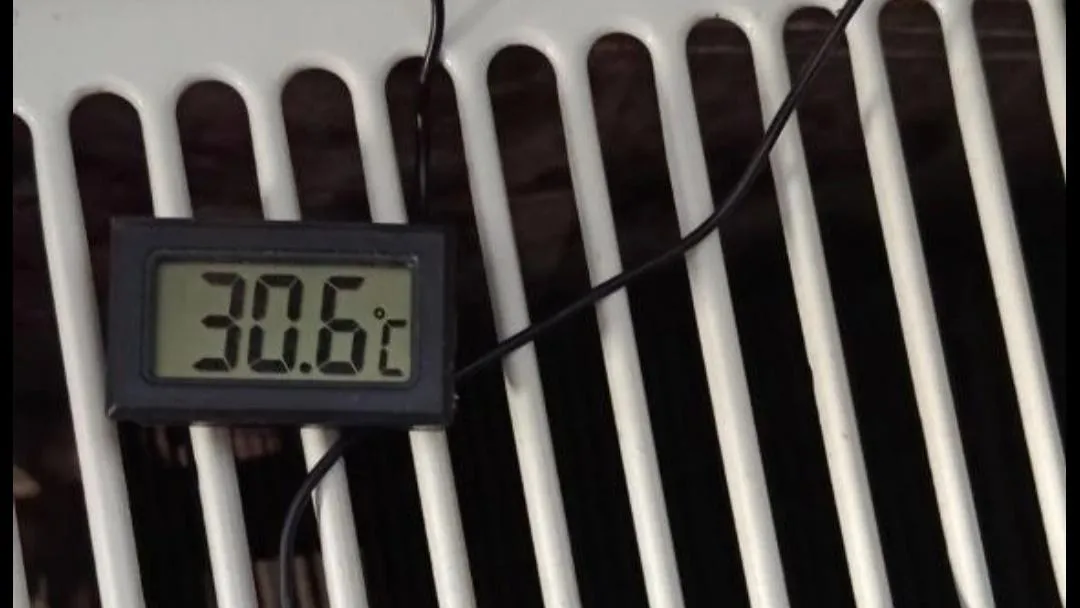 Фото соцсети.