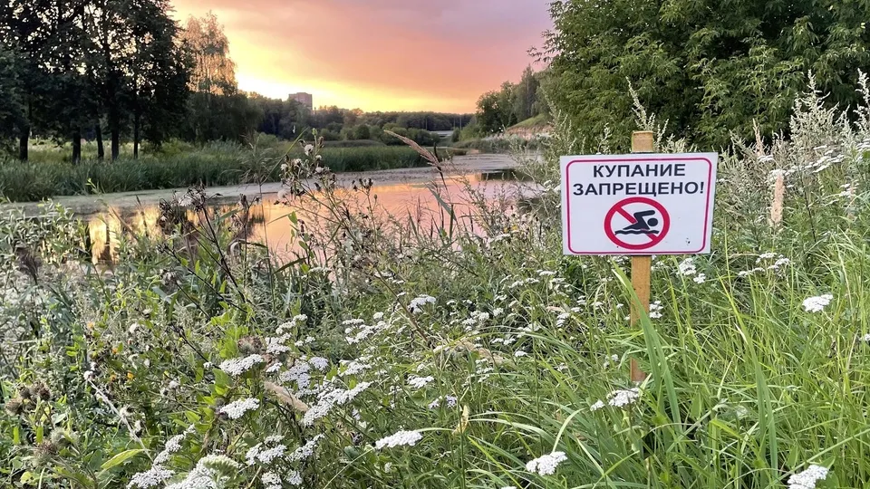 Фото: t.me/kashirskoe_tu_gku_mosoblpozhspas