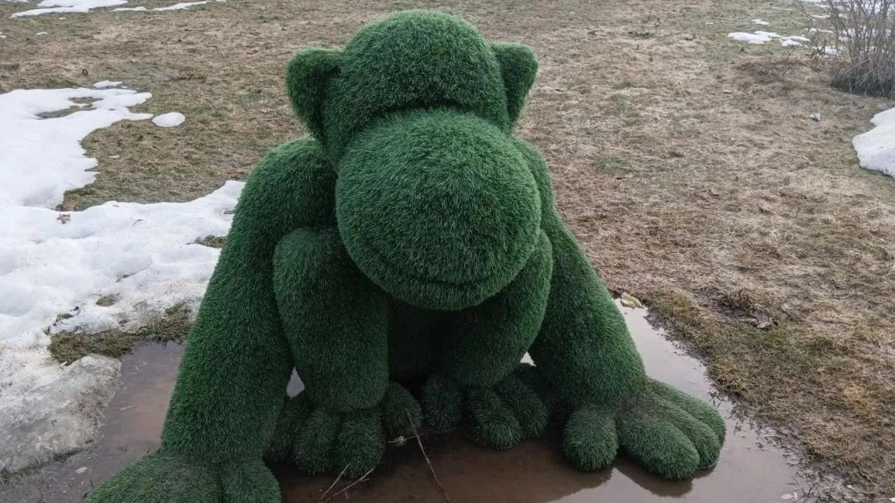 REGIONS/Наталья Пичугина