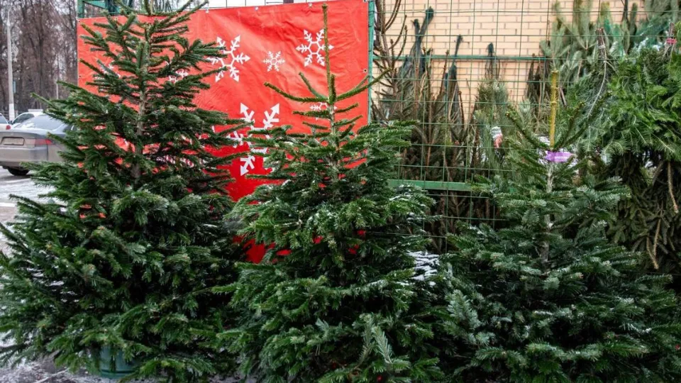 Фото: пресс-служба администрации г.о. Подольск