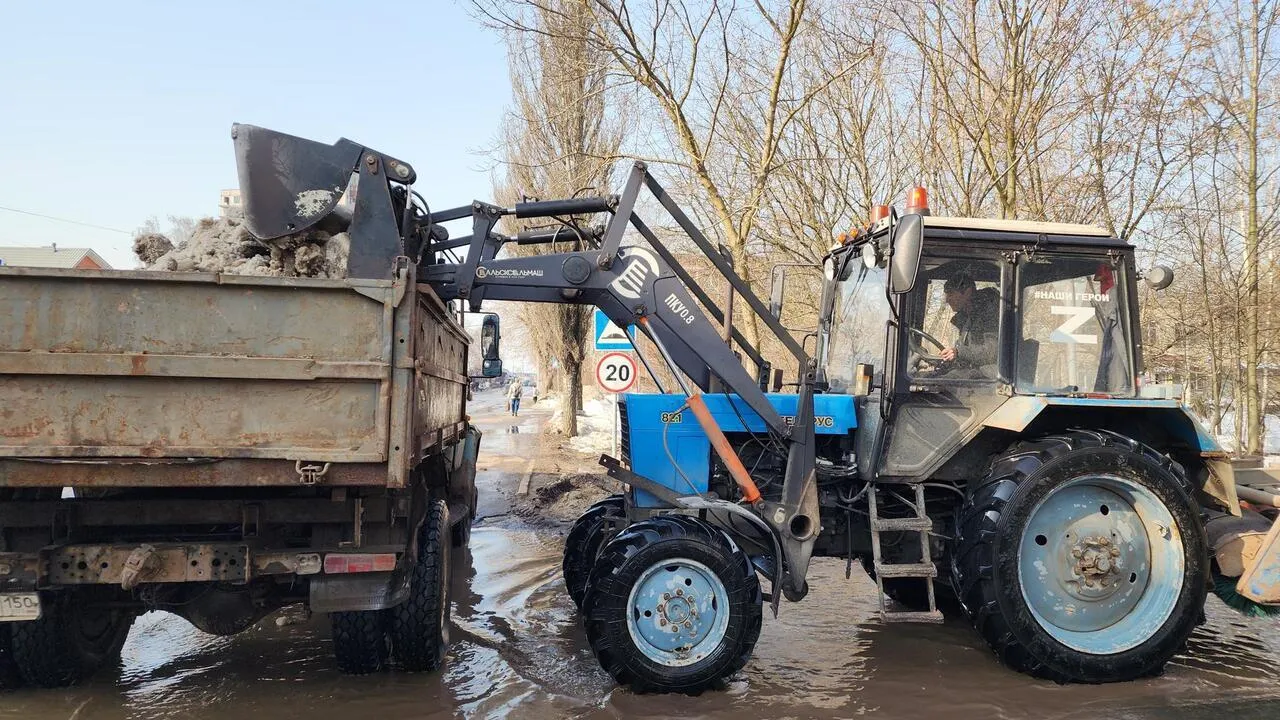 REGIONS/Валерия Тингаева