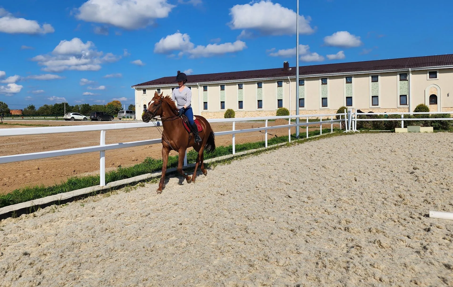 Фото: Андрей Семибратов