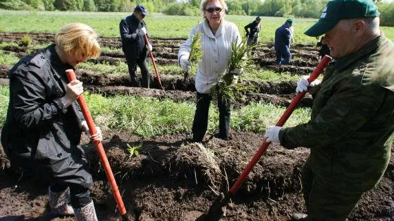 В лесах области пройдут масштабные акции по высадке саженцев