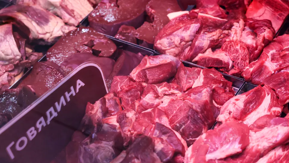 Фото: ТАСС/Антон Новодережкин