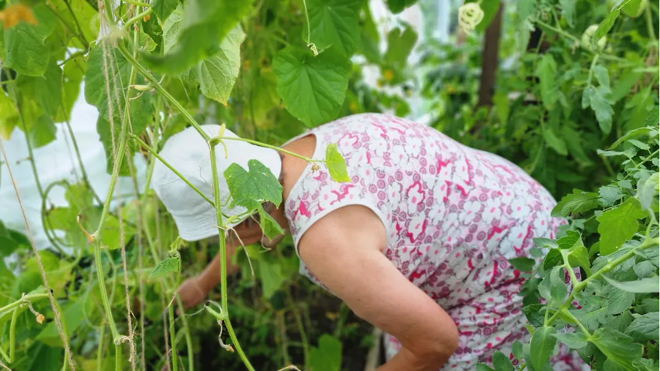 Фото: REGIONS/Наталия Надточая