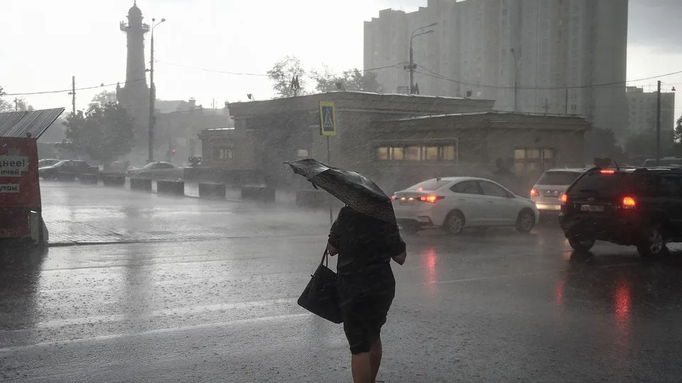 Фото: медиасток.рф