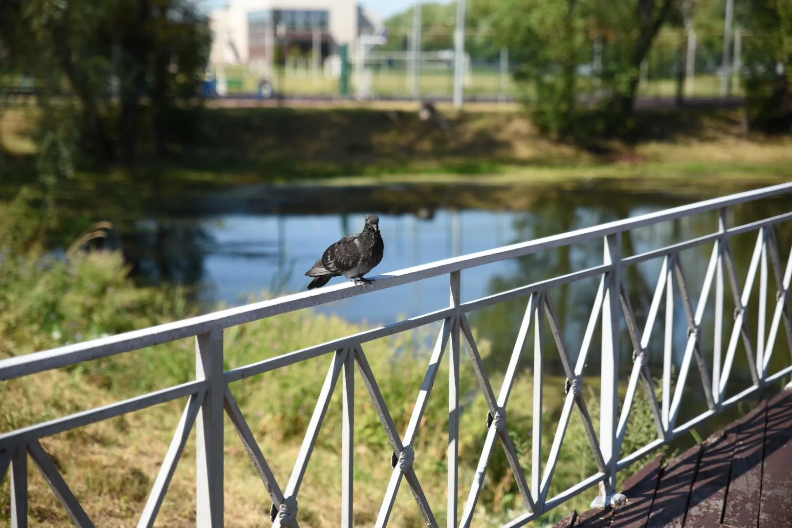Фото: Ольга Антонова