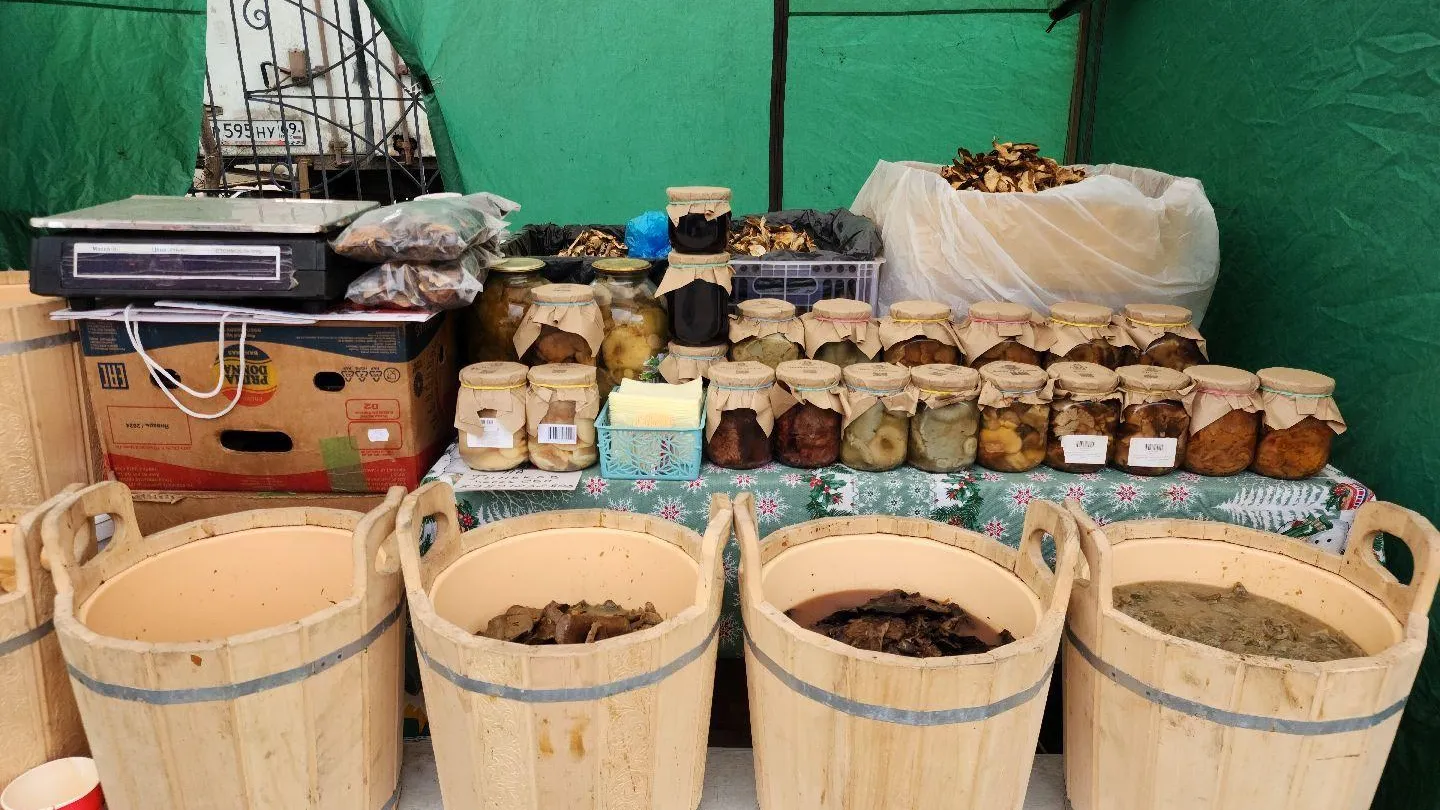 REGIONS/Хавива Фонина