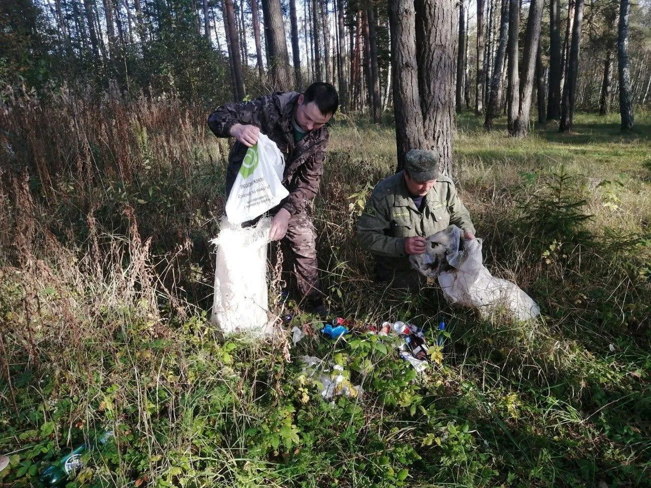 Фото: Комитет лесного хозяйства Московской области