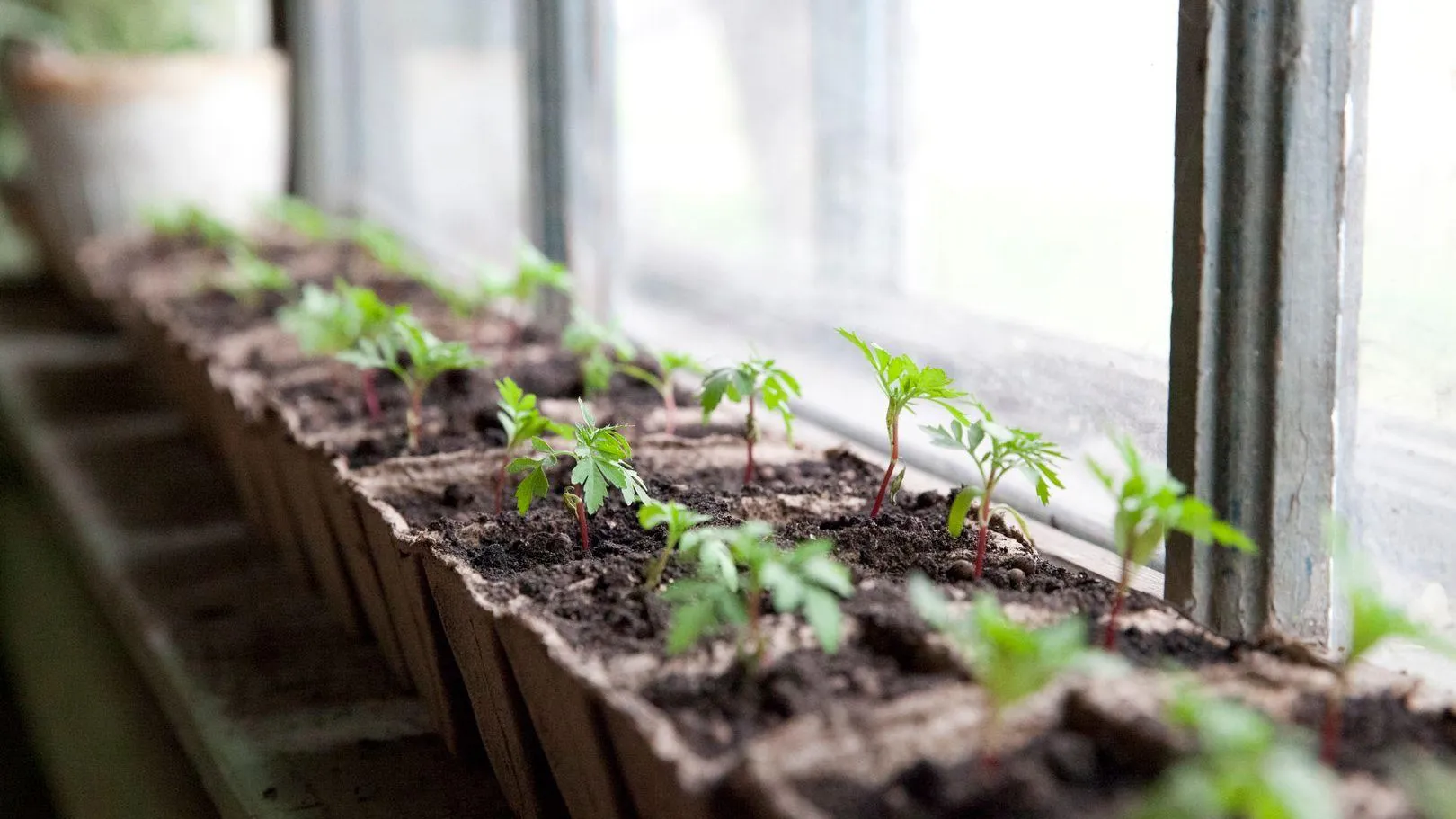 медиасток.рф